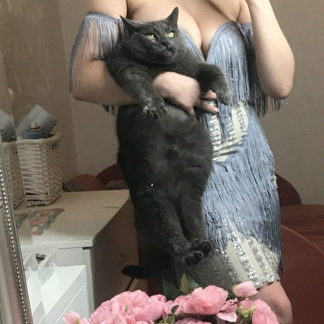 Кошачьи пузики (30 фото)