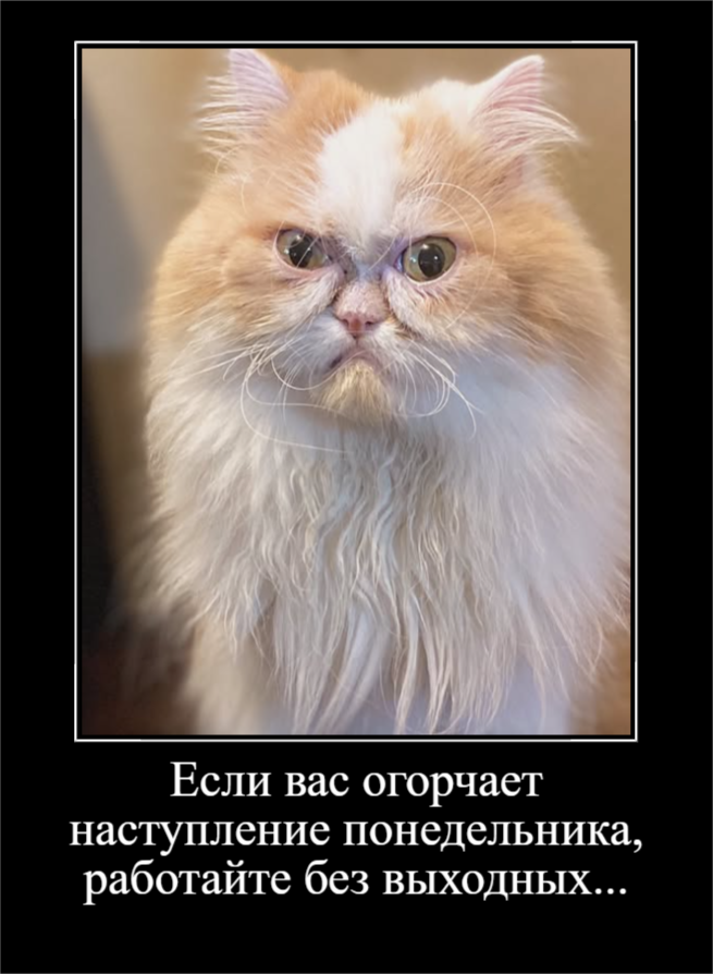 Для отличного настроения (30 фото)