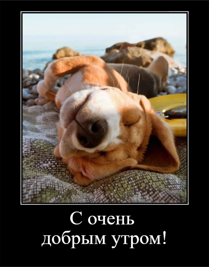 Привет, Июль! Лето продолжается! (30 фото)