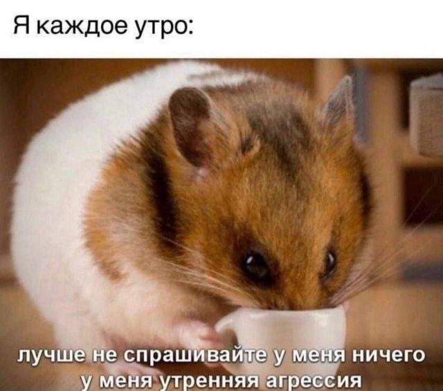 С утра поднимаем настроение (30 фото)