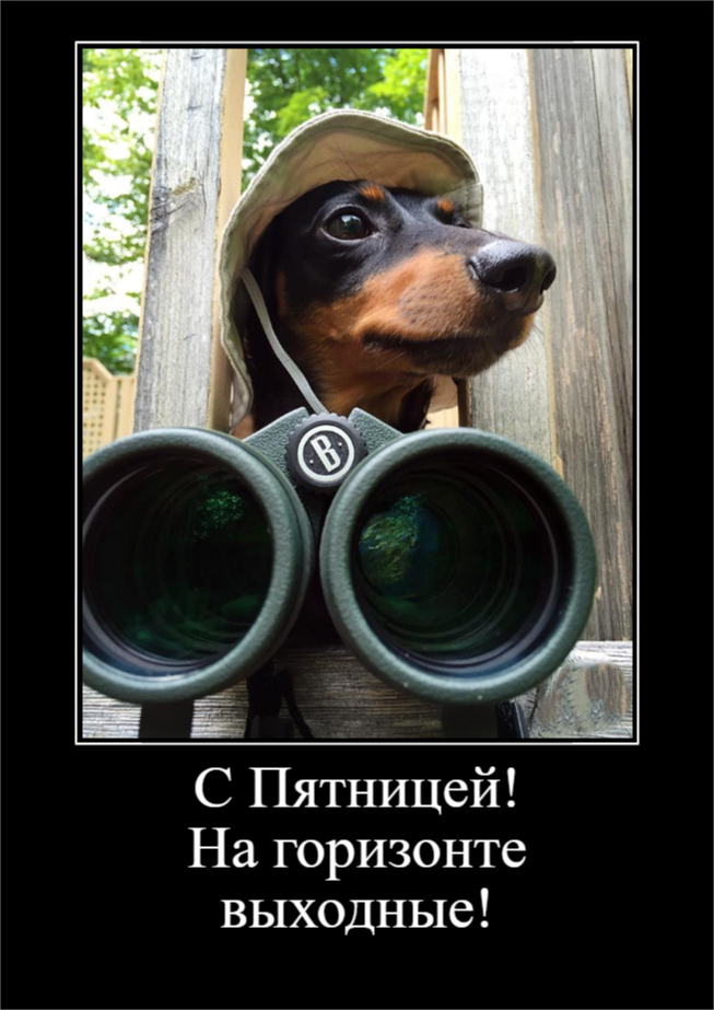 Предвкушение выходных (30 фото)