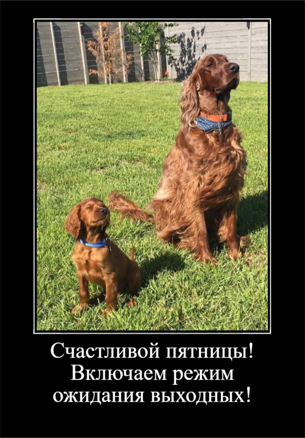 Пятничное настроение (30 фото)