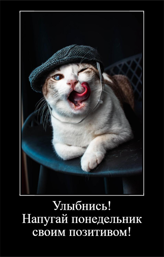 С понедельничком! (30 фото)