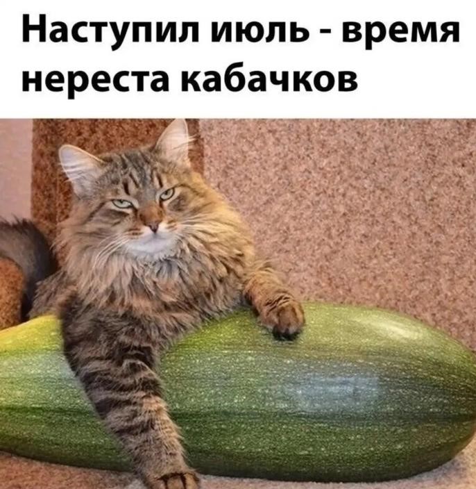 На позитиве! (30 фото)