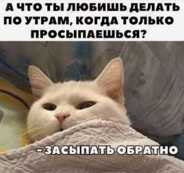Для отличного заряда позитива и улыбок (30 фото)