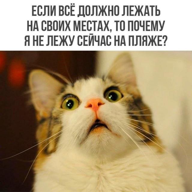 Просто для улыбки (30 фото)