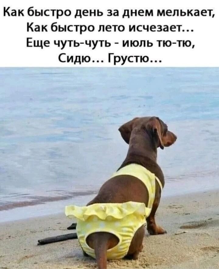 Забавные животные (30 фото)