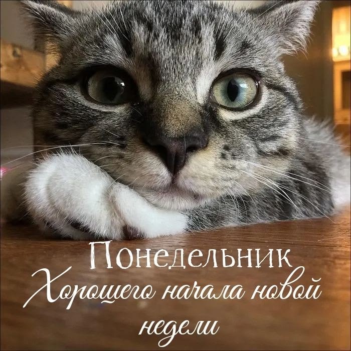 Для отличного настроения! (30 фото)