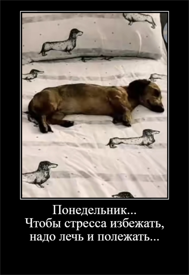 Для отличного настроения (30 фото)