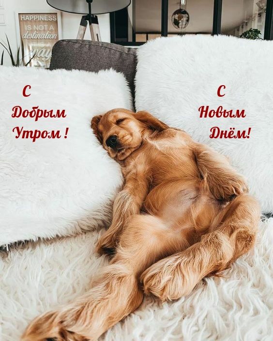 Порция утреннего вдохновения (30 фото)