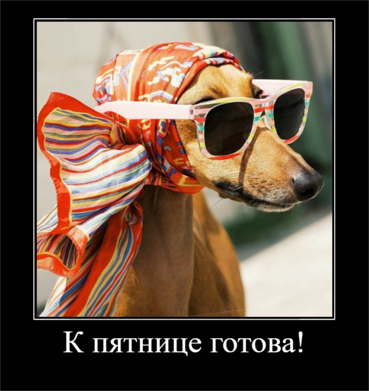 Пятничное настроение (30 фото)