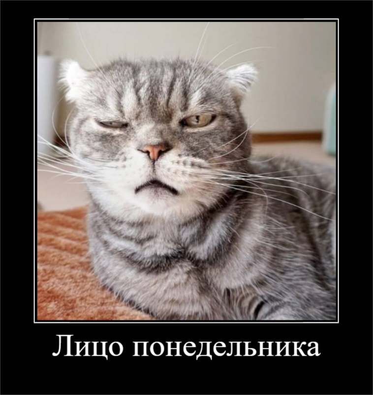 С началом недели (30 фото)