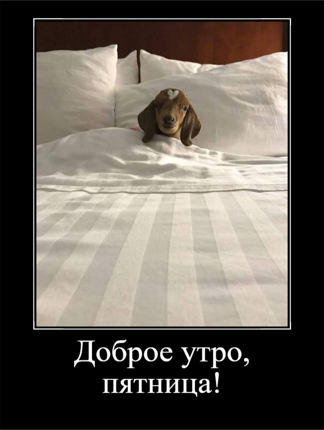 С последней пятницей уходящего лета (30 фото)
