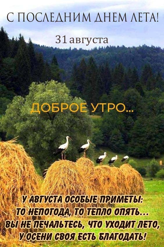 С последним летним днём (30 фото)