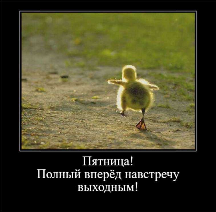 Настроение - Пятница (30 фото)