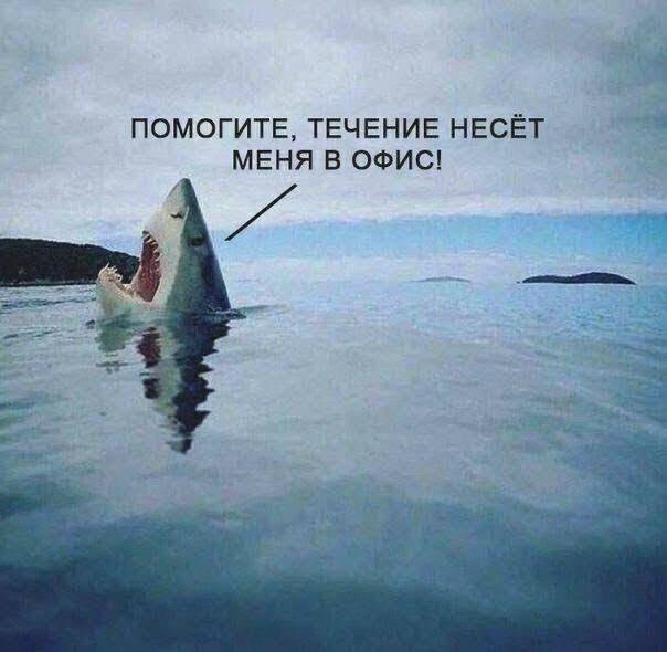 Подборка для хорошего настроения (30 фото)
