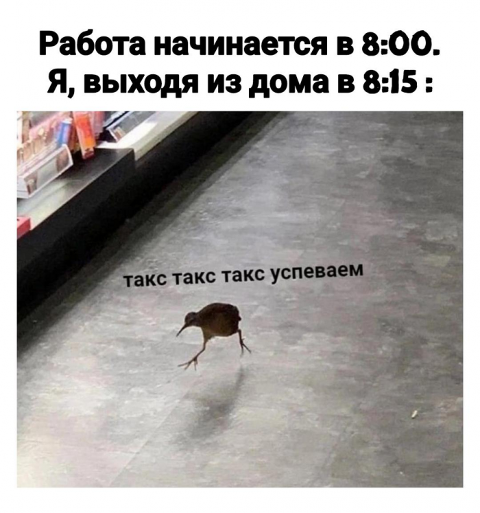 Для отличного настроения (30 фото)
