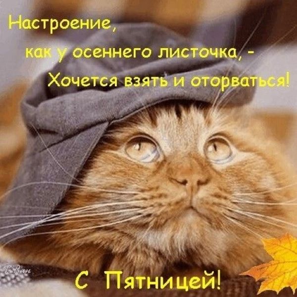 Ура-пятница! (30 фото)