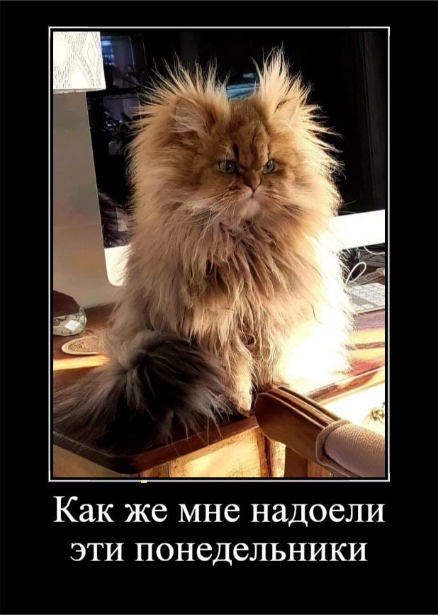 Для хорошего настроения (30 фото)