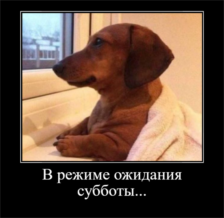 Наконец-то пятница! (30 фото)