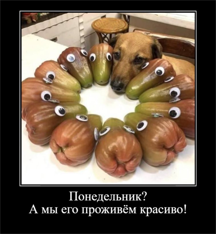 Послевкусие воскресенья (30 фото)