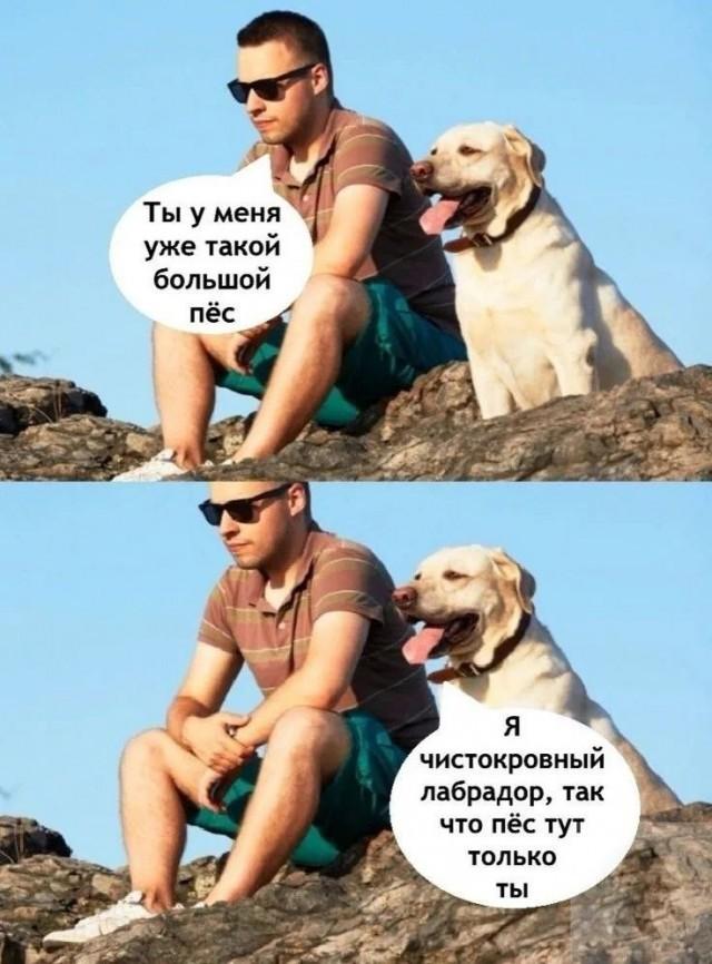 Для хорошего настроения (30 фото)