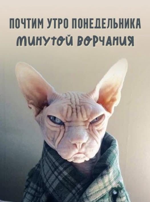 Для хорошего настроения (30 фото)
