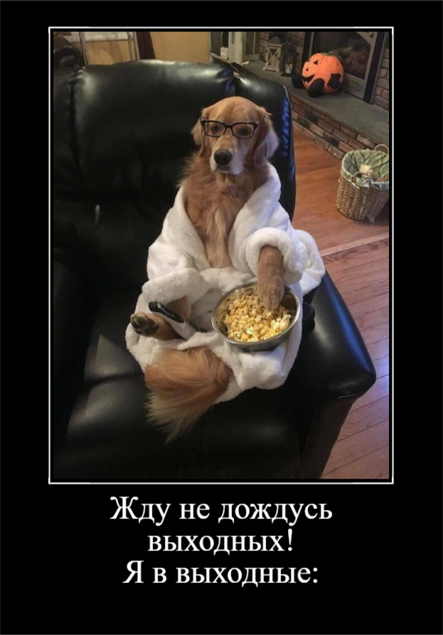 Пятничный заряд позитива (30 фото)