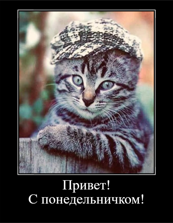 С понедельничком! (30 фото)